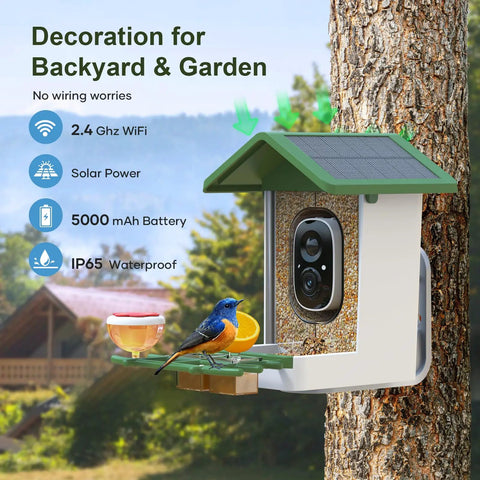 Solar Powered Bird Feeder With Camera For Outdoor Use AI Recognition And Real Time Alerts Wireless Bird House mounted on tree