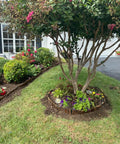 Installed Garden Edging Kit With Rustic Picket Panels For Flower Beds And Landscape Borders Charred Wood Construction