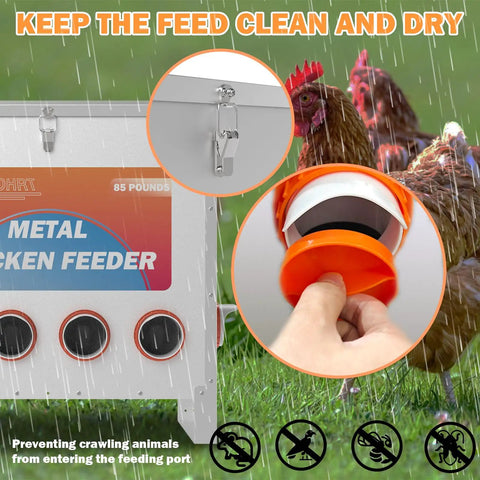 Kick The Chore Out Of Feeding With This Heavy Duty Automatic Chicken Feeder For Backyard Birds featuring a durable 85-pound metal hopper and feeding ports.