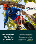 Arborist wearing safety gear using Arborist 16 Oz Throw Weight Bag For Tree Climbing And Rigging, Tear Resistant Nylon Throw Bag For On Point Placements In Tall Trees, Pro Grade Cordura Gear, Neon Green.