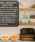 Kitchen scene with 4 Pack Microgreen Sprouting Trays Kit With Humidity Domes, 5.9 Inch Square Grow Trays, visible shelves and seedlings.