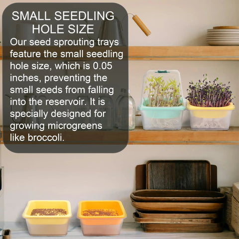 Kitchen scene with 4 Pack Microgreen Sprouting Trays Kit With Humidity Domes, 5.9 Inch Square Grow Trays, visible shelves and seedlings.