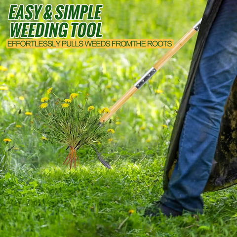 Stand Up Weed Puller Tool With Long Handle And 4 Claw Steel Head for easy garden weeding without bending or kneeling in use
