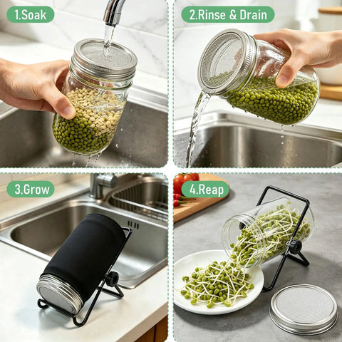 Straight Up Premium 304 Stainless Steel Sprouting Lid For Mason Jars in use for soaking, rinsing, sprouting, and harvesting seeds.