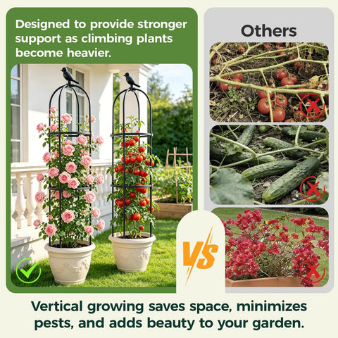 Space Saving Garden Obelisk Trellis For Climbing Plants Outdoor And Indoor Use, Rustproof Metal Plant Support with roses and tomatoes