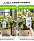 Smart Wireless Plant Moisture Meter with Visual Gauge in potted plant, showing auto and manual moisture checks indoors.