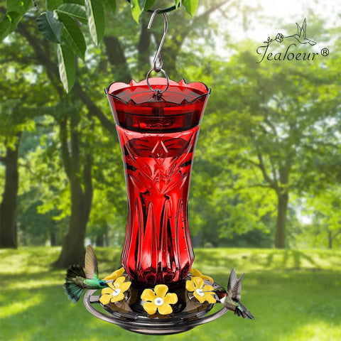 Durable Outdoor Hummingbird Feeder With Six Feeding Ports Built In Ant Moat And Bee Guard 18 Oz Capacity Easy To Clean 360 Degree Viewing Hanging Garden Decor For Bird Lovers