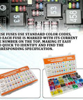 300 Piece Car Fuses Kit All In One Blade Fuse Assortment with color-coded layout for easy identification