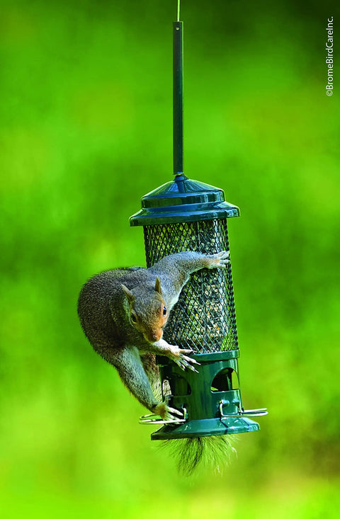 Squirrel-Proof Bird Feeder With Weight-Sensitive Perches, Four Metal Perches, 0.75 Qt Seed Capacity, Garden Green hanging