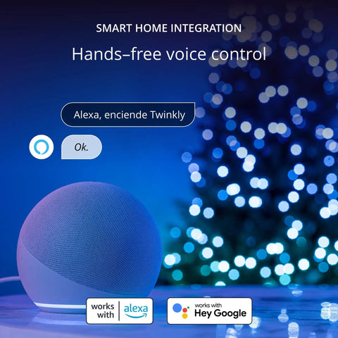 Voice control setup with smart speaker for App Controlled 105 Foot Smart String LED Lights With 400 RGB White LEDs, WiFi And Bluetooth.