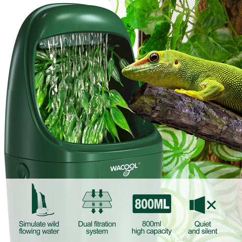 Automatic Reptile Water Dripper Keeps Your Herp Squad Properly Quenched With A Smooth Chameleon Drinking Fountain And Steady Drip System with green gecko.