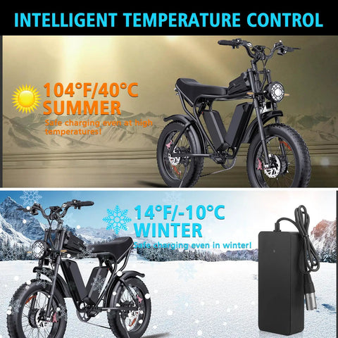UL Certified Beefed Up Fast Charging 3Pin 48V 2A EBike Battery Charger For Ridstar Q20 Q20 Pro H20 Pro H26 Pro Waterproof