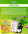 Touch Me Plant Seeds Indoor 2 Pack That Close Leaves When Touched Easy Indoor Houseplant Seeds Fun Educational Garden Kit