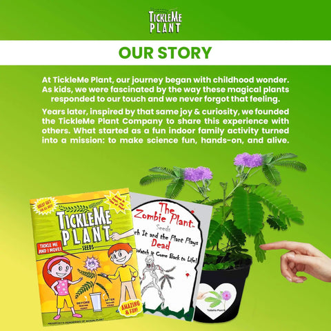 Touch Me Plant Seeds Indoor 2 Pack That Close Leaves When Touched Easy Indoor Houseplant Seeds Fun Educational Garden Kit