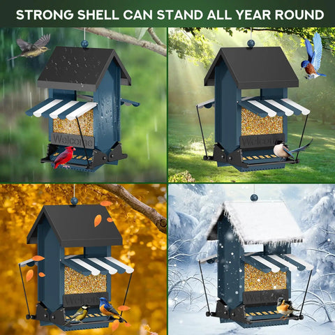 Heavy Duty Squirrel Proof Bird Feeder With Weight Activated Perch 5 Pound Capacity Easy Fill And Clean Outdoor Feeder in seasonal settings