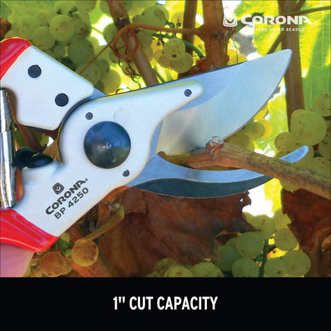 Max Forged Aluminum Bypass Pruner For 1 Inch Cut Capacity trimming grapevine with replaceable steel blade and ergonomic angled head