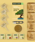 All In One Bonsai Growing Kit For Beginners With Seeds Norway Spruce Royal Poinciana Blue Jacaranda And Rocky Mountain Pine Burlap Pots And Easy Care Guide - Complete Kit View
