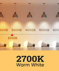Lighting demonstration showing A19 LED Light Bulbs 100W Equivalent, 2700K Soft White glow, with spectrum chart from 2000K to 6000K.