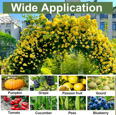 Garden Arch Trellis For Climbing Plants Outdoor Space Saving Arch With Net Black 81X36X32In covered in yellow flowers