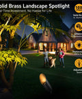 Brass Outdoor Landscape Spotlight Kit illuminating trees and house, 12V wired LED uplights, antique bronze, IP65, solid brass.