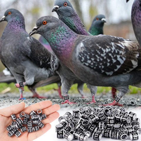 100 Pieces Black Aluminum Pigeon Leg Rings For Bird Identification And Training, 2027 ARPU Serial Number Bands on pigeons