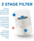 Genuine Replacement Filter Two Pack For Air Purifiers That Knocks Out Allergens Smoke Wildfires Dust Odors Pollen And Pet Dander with 3-stage filtration diagram