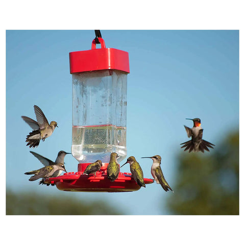 Premium Top Shelf Hummingbird Liquid Nectar Natural Clear Blend Backyard Wildlife Favorite No Sugar Added Daily Hydration Boost 64 Ounce Bottle with multiple hummingbirds feeding.