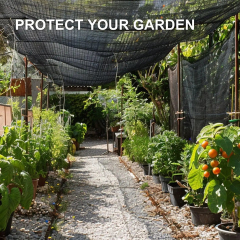 6x6.5 Ft Shade Cloth 50 Percent Sun Blocking Mesh With Grommets For Garden Patio Greenhouse Outdoor Plants Chicken Coop Black.