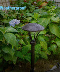 Low Voltage Path Lights LED 1W 60 Lumen Flood Lights With Sturdy Metal Stake in rainy garden