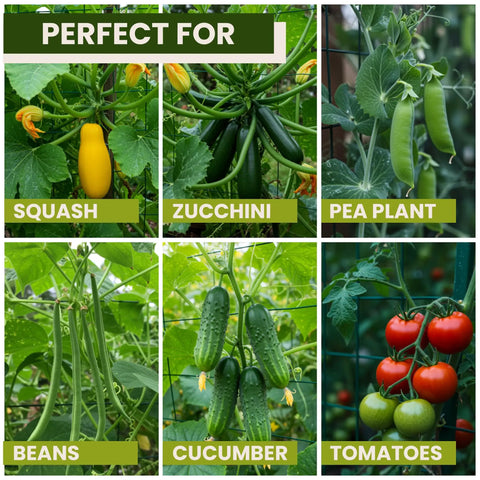 A Frame Garden Trellis For Raised Beds Ideal For Cucumbers Peas Zucchini Squash Tomatoes And More shown with vegetables