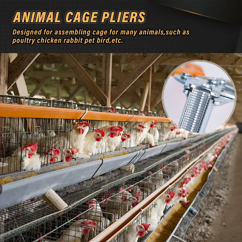 Animal cage pliers in use with poultry cages, showing chickens in wire enclosures under wooden beams.