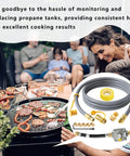 Propane To Natural Gas Conversion Kit For Weber Genesis Grills Genesis II Spirit Spirit II With 10Ft Hose and Regulator in use