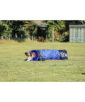 Dog Agility Tunnel For Training And Fun, 78.7 Inch Long And 15.7 Inch Diameter, with dog running through in a park setting