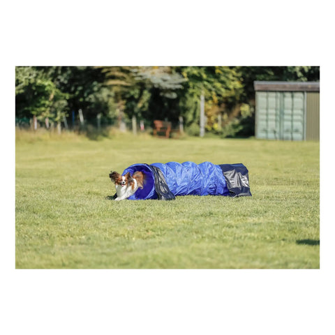 Dog Agility Tunnel For Training And Fun, 78.7 Inch Long And 15.7 Inch Diameter, with dog running through in a park setting