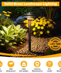 Solid Brass Low Voltage Pathway Lights 12V LED Outdoor Walkway Lamps, Heavy Duty Waterproof Antique Bronze in garden at night