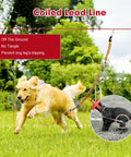 Heavy-Duty Backyard Dog Zip Line System With Anti-Shock Coiled Cable in use with dog running in grass