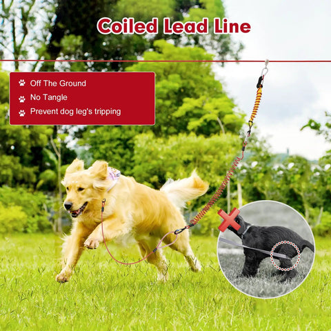 Heavy-Duty Backyard Dog Zip Line System With Anti-Shock Coiled Cable in use with dog running in grass