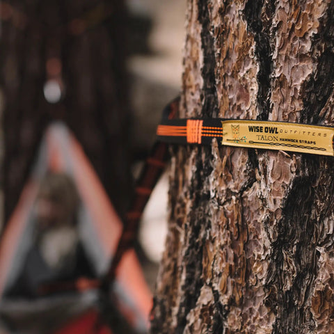10ft Heavy Duty Hammock Straps For Trees With Carabiners 38 Loops And Hooks Knot Free Setup In Seconds Strong Durable Camping Gear attached to tree