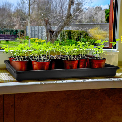 Six Pack Seedling Trays Without Drain Holes for Easy Watering in Indoor Greenhouse Germination with Potting Plants