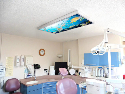 Fluorescent Light Covers For Classrooms And Offices To Kill Harsh Glare And Eye Strain Headache Free Ocean Themed Diffusers In School Master Fish Color 4 Pack Office And Classroom Decorations in dental office ceiling.