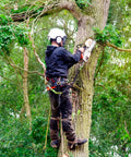 Heavy Duty Tree Climbing Spikes Gear Set For Logging And Hunting in use, showing arborist climbing a tree with stainless steel claws