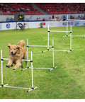 Golden retriever jumping over Indoor Outdoor Dog Agility Jump Set With 4 Bar Hurdles in a stadium setting.