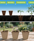 Various growth stages using 200 Cell Peat Pots Seed Starter Trays For Seedlings, 20 Pack Germination Trays With Labels, Indoor And Outdoor Plant Propagation Kit, Biodegradable Pulp Pots For Easy Transplant And Growth.