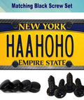 Black Stainless Steel License Plate Screws Kit With Matte Black Caps For Front Bumper Mounting Anti Theft Self Tapping Hardware Heavy Duty Tag Frame Insert Fasteners And Weather Resistant Fasteners with license plate display