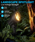 Low Voltage Landscape Lighting Kit 12 to 24V Outdoor LED Lights in Aluminum Lit 3000K Warm White spotlight illuminating foliage