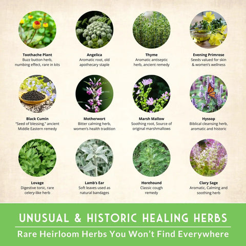 Dope Herbal Medicine Seed Pack With 36 Heirloom Non GMO Healing Herbs including rare healing herbs and natural remedies