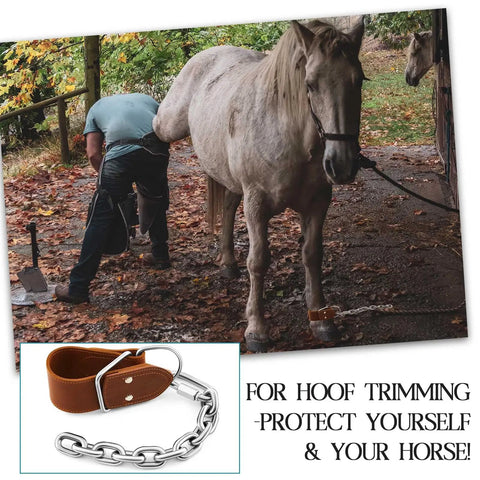 Two Pack Leather Horse Hobbles With Anti Kick Design Single Leg Hobble for training, brown leather, stainless steel chain