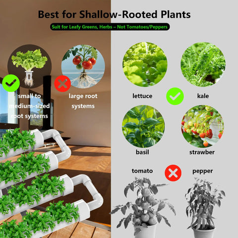 Hydroponic Growing System Kit With 36 Plant Sites Full Spectrum Grow Lights And Timer illustrating suitable plants like lettuce and kale.