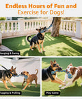 Dogs playing with Outdoor Bungee Tug Toy For Dogs Tree Hanging Rope Tug Interactive Chew Rope Adjustable Height Backyard Play