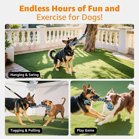 Dogs playing with Outdoor Bungee Tug Toy For Dogs Tree Hanging Rope Tug Interactive Chew Rope Adjustable Height Backyard Play